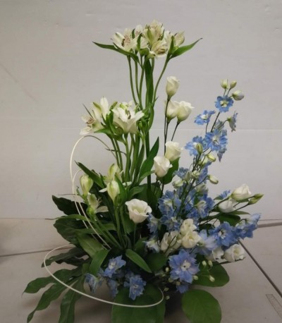 Front Facing Arrangement