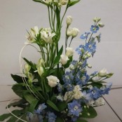 Front Facing Arrangement